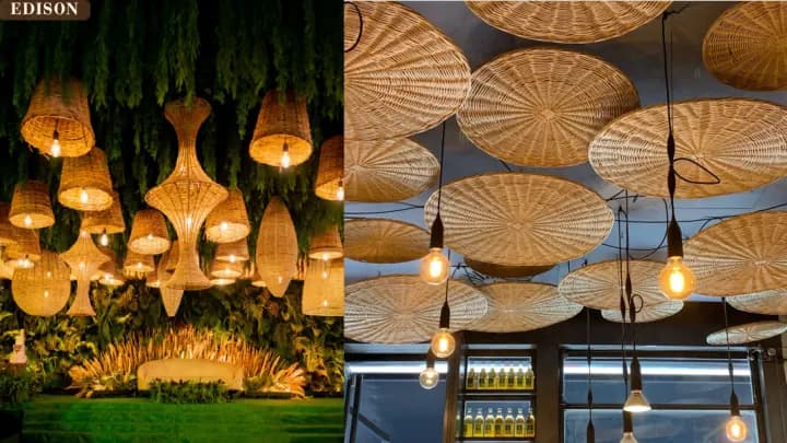 A cluster of cane pendants above a bar, beside a planted wall installation
